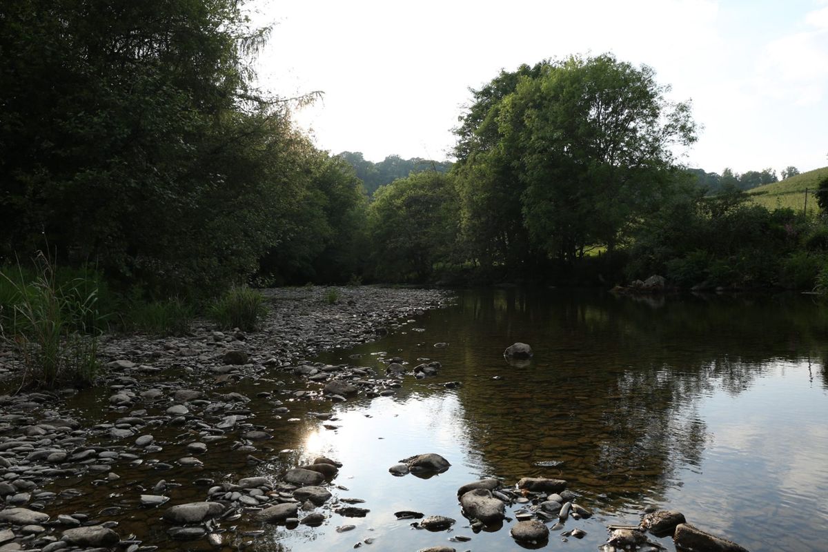 The river shallows in evening light, stones showing through the water